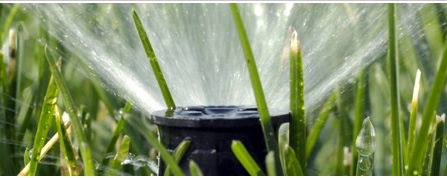 headerirrigation1.jpg